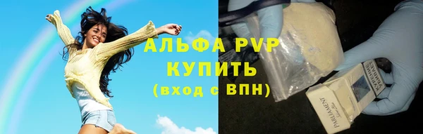 шишки Балахна
